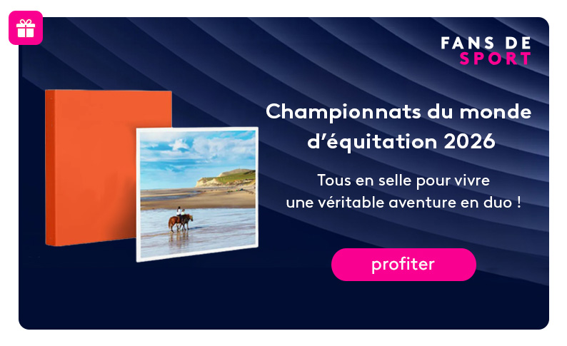 Jeu équitation